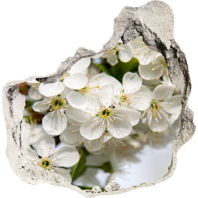 3D wall hole Cherry blossoms