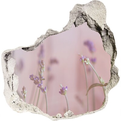 3D wall hole Flower meadow behind the wall