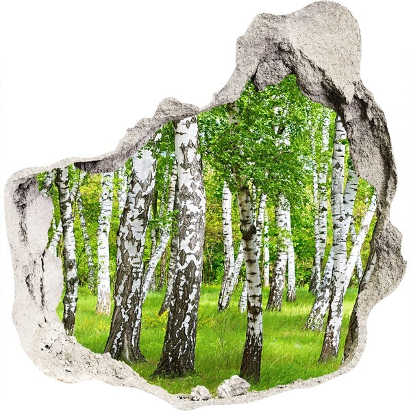 Hole wall sticker Green birch forest