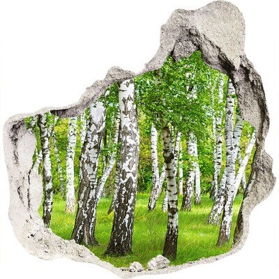 Hole wall sticker Green birch forest