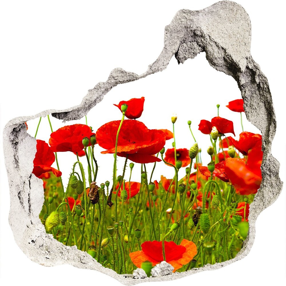 Hole in the wall decal Field poppies