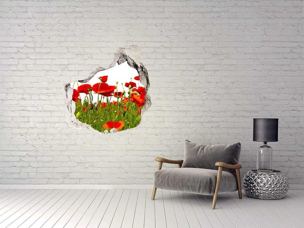 Hole in the wall decal Field poppies