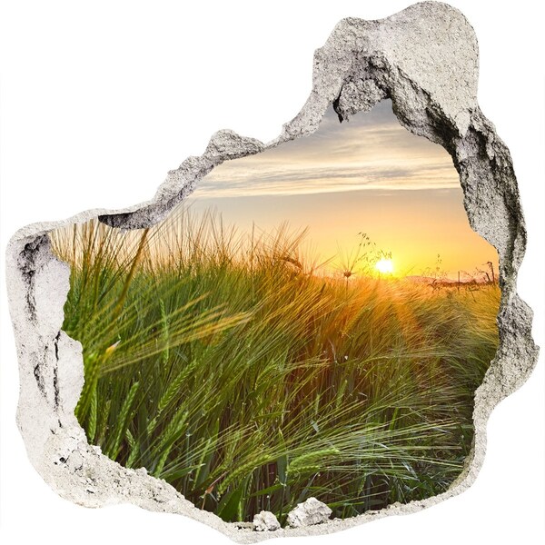 Hole wall sticker Sunset over the meadow