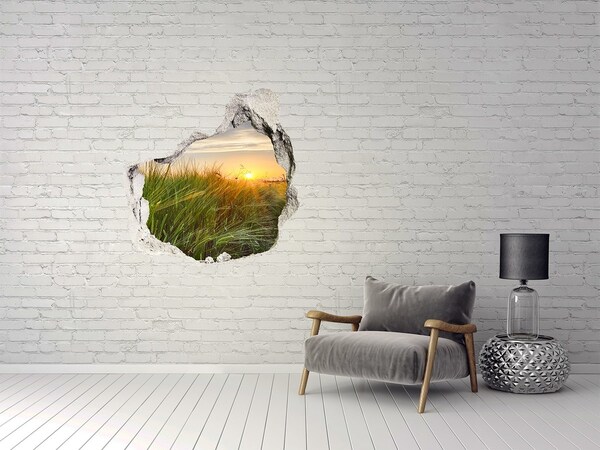 Hole wall sticker Sunset over the meadow