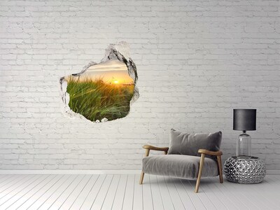 Hole wall sticker Sunset over the meadow