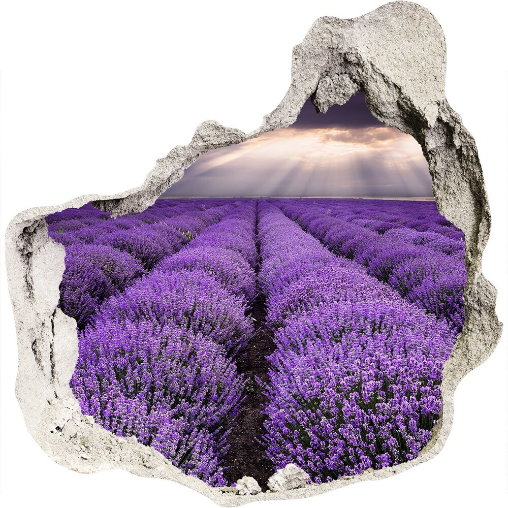 Hole wall sticker Lavender field