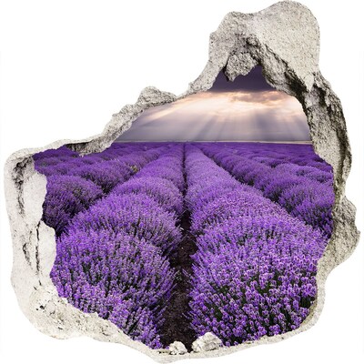 Hole wall sticker Lavender fields in the light of the setting sun