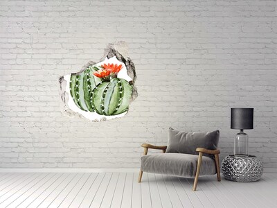 3D wall hole Cacti