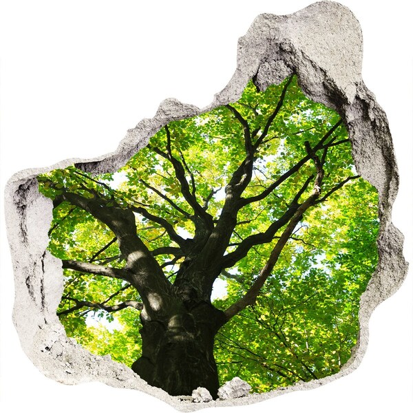 3D wall hole wallpaper Green Forest in a Hole in the Wall