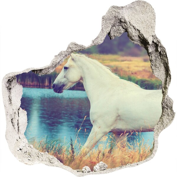 Hole in the wall decal White horse by the lake