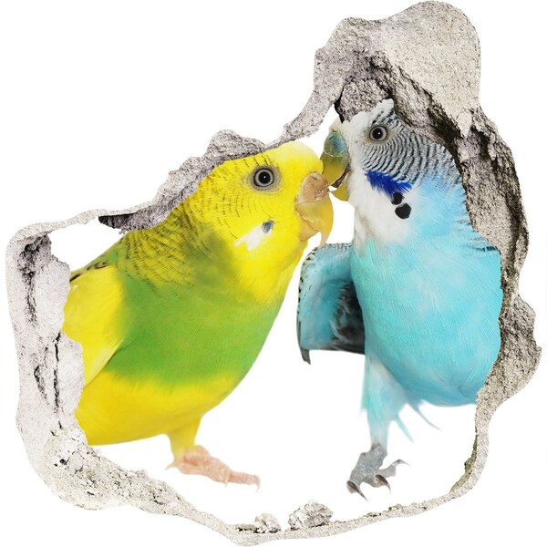 Hole in the wall decal Faded parakeets