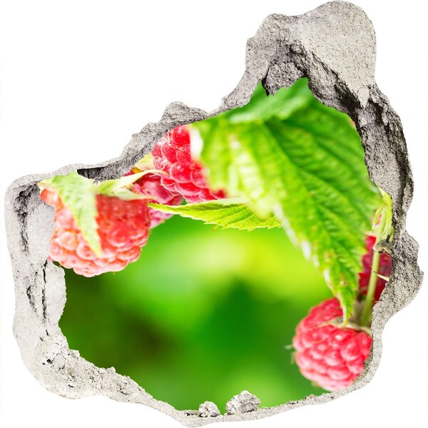 Hole in the wall decal Raspberries in the garden