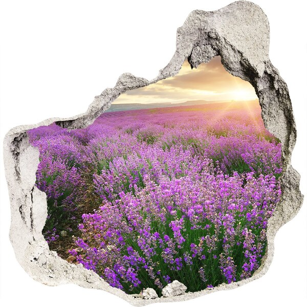 Hole wall sticker Lavender field at sunrise