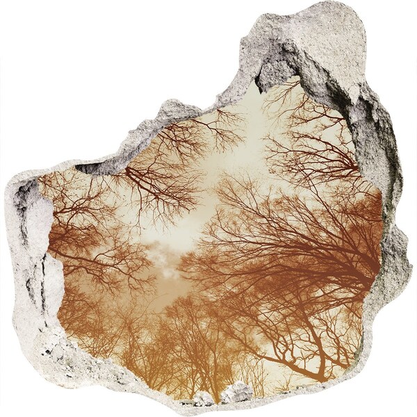 3D wall hole wallpaper Reflection of trees in a ruined wall