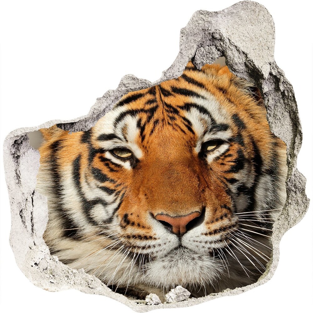 Hole in the wall decal Bengal tiger