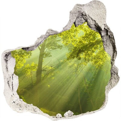 Hole in the wall decal Green forest with sun rays