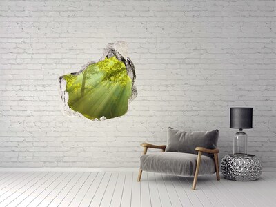 Hole in the wall decal Forest in the sun