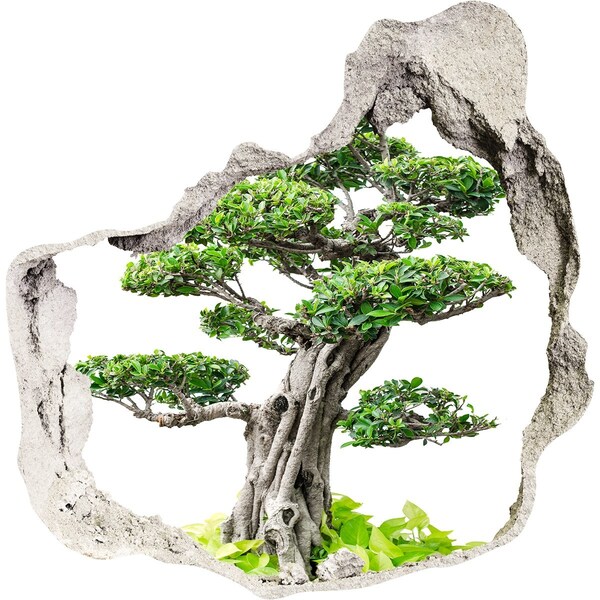 Hole in the wall sticker Bonsai in a hole in the wall