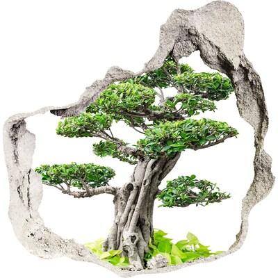 Hole in the wall sticker Bonsai in a hole in the wall