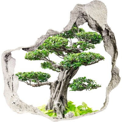 Hole in the wall sticker Bonsai tree