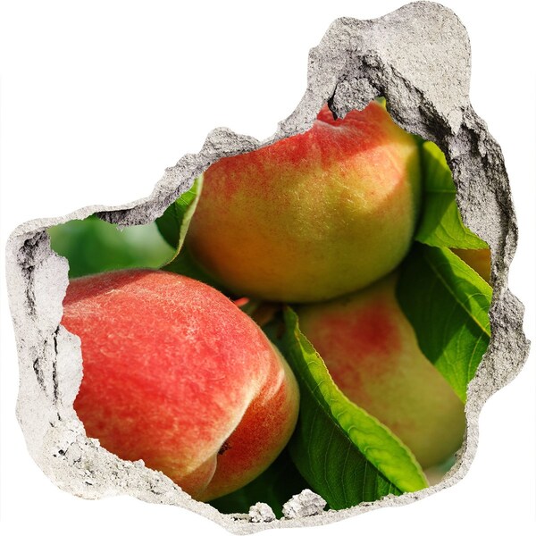 Hole in the wall sticker Apple orchard