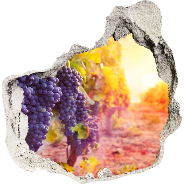 Hole in the wall decal Grape paradise in the morning
