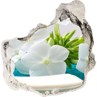 Hole in the wall decal A flower paradise behind the wall