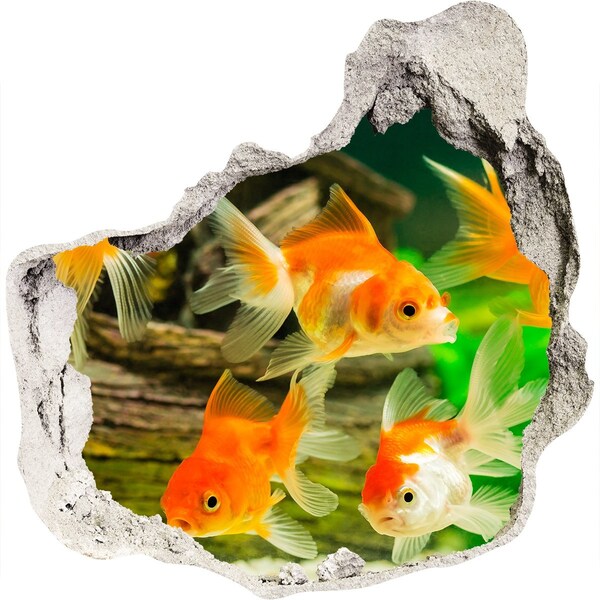 3D wall hole Goldfish in the underwater world