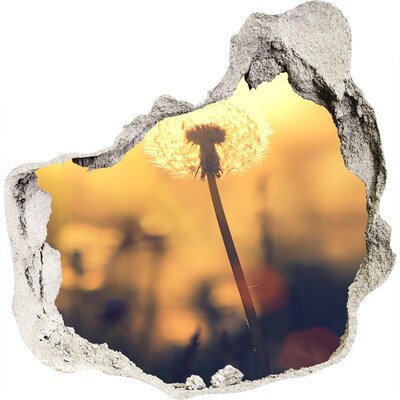 3D wall hole wallpaper Dandelion flower in the sun's rays