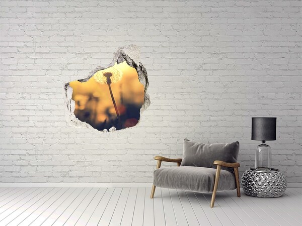 3D wall hole wallpaper Dandelion flower in the sun's rays