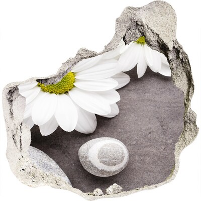 Hole in the wall decal A floral dream in concrete