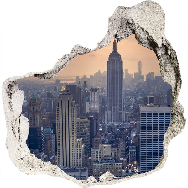Hole in the wall sticker View of New York