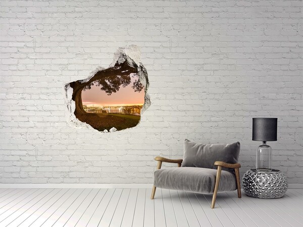 3D wall hole wallpaper View of the city through a hole in the wall