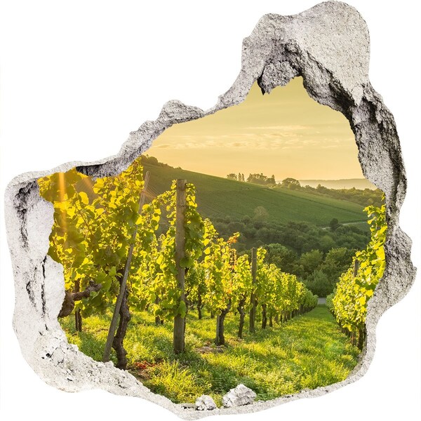 3D wall hole wallpaper Vineyards in the sun