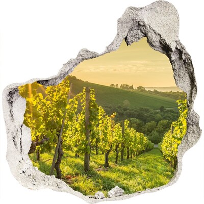 3D wall hole wallpaper Vineyards in the sun