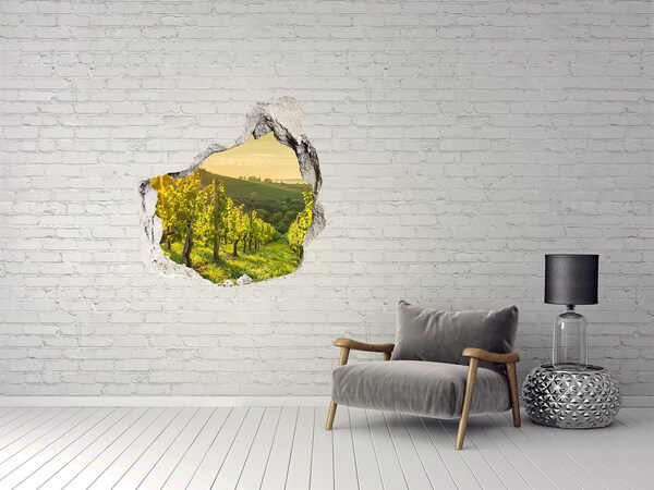 3D wall hole wallpaper Vineyards in the sun