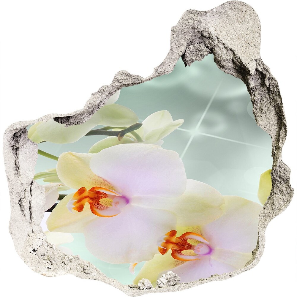 Hole in the wall decal White orchid