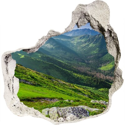 Hole in the wall decal A green valley in the mountains