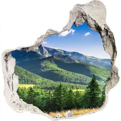 Hole in the wall sticker Mountain landscape through a hole in the wall