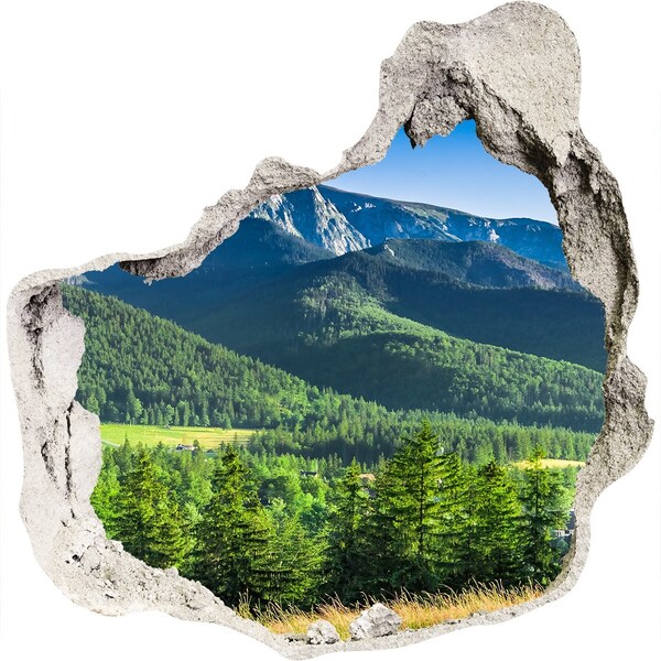 Hole in the wall decal Mountain landscape through a hole in the wall