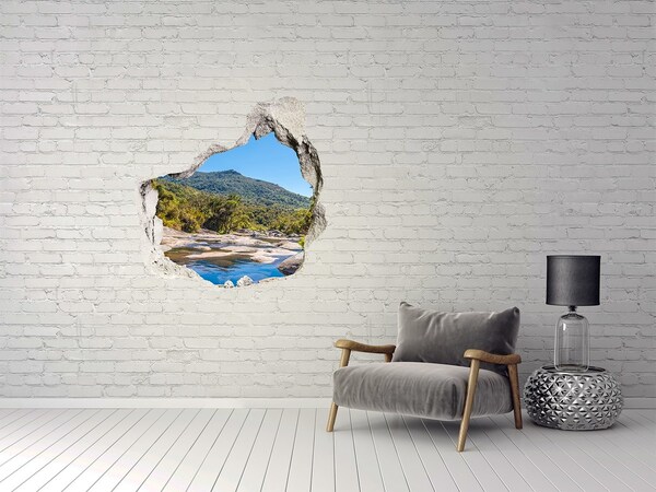 Hole in the wall sticker River in the forest