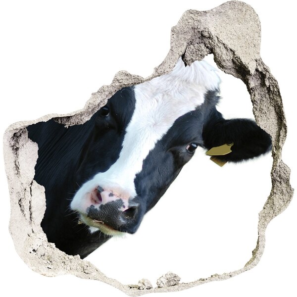 3D wall hole Cow in a hole in the wall