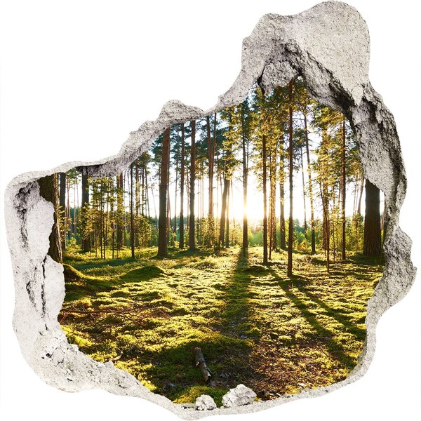 Hole wall sticker Forest glade in the morning