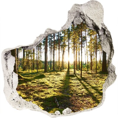 Hole wall sticker Forest glade in the morning
