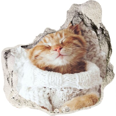 3D wall hole wallpaper Cute cat in a sweater