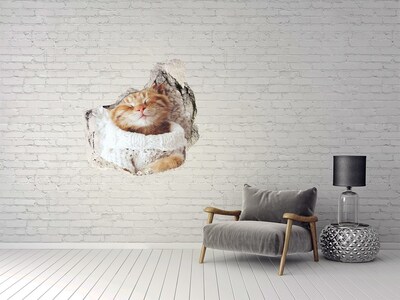 3D wall hole wallpaper Cute cat in a sweater