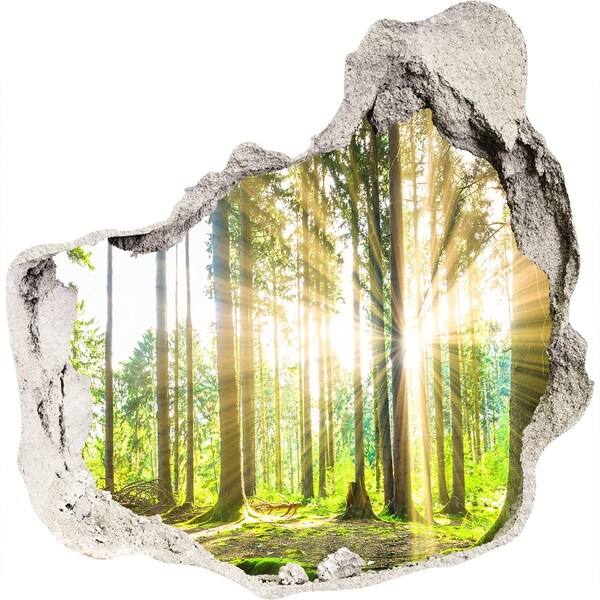 3D wall hole wallpaper Forest glade in the sunshine