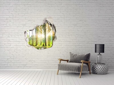 3D wall hole wallpaper Forest glade in the sunshine