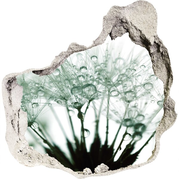 Hole wall sticker A floral dream behind the wall