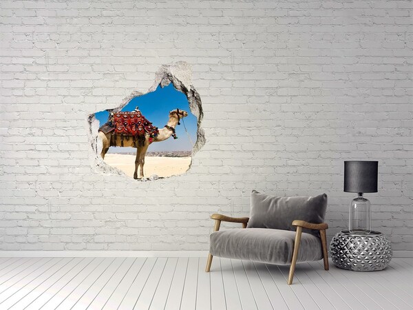 3D wall hole wallpaper Wandering through the desert